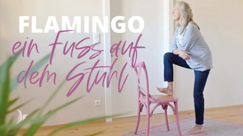 Video: Flamingo, ein Fuß auf dem Stuhl