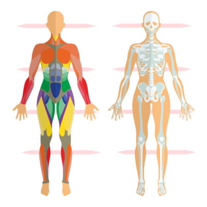 Gleichgewichtsübungen, Balance