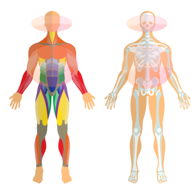 KoNaSchu YOGA Atemübungen, mentale Entspannung