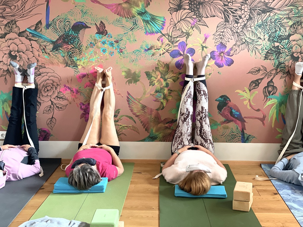 YOGA in der Haidermuehle, Mondsee