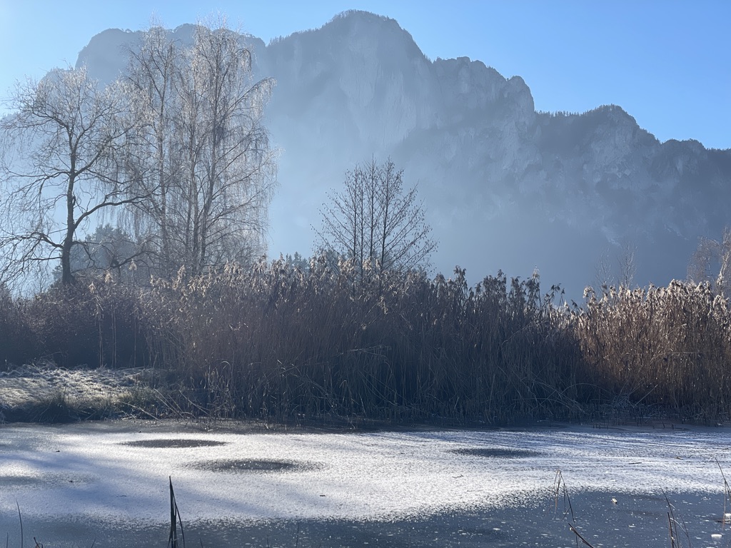 YOGA intensiv Mondsee, Blick auf die Drachenwand