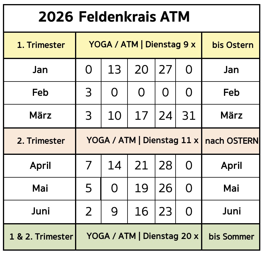 ATM 2026 Mondsee zoom